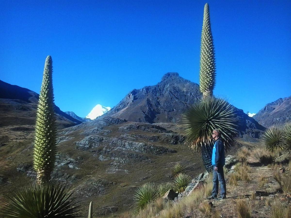 Laguna House Huaraz  Exteriör bild
